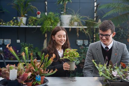 Pupils at Brighton College looking at plants