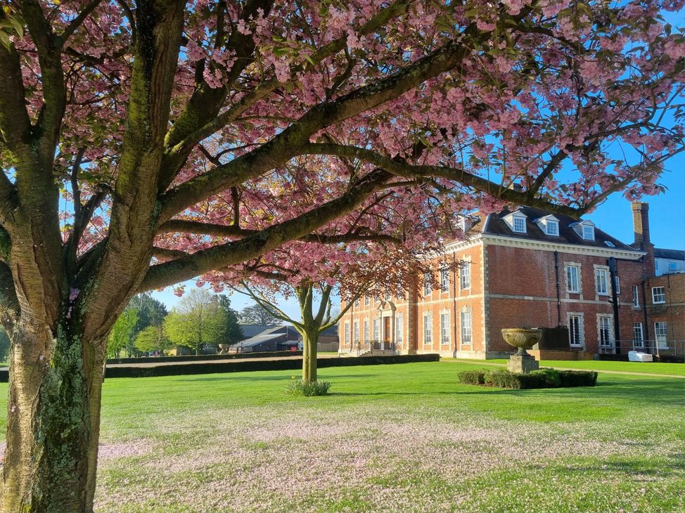 Beechwood Park School