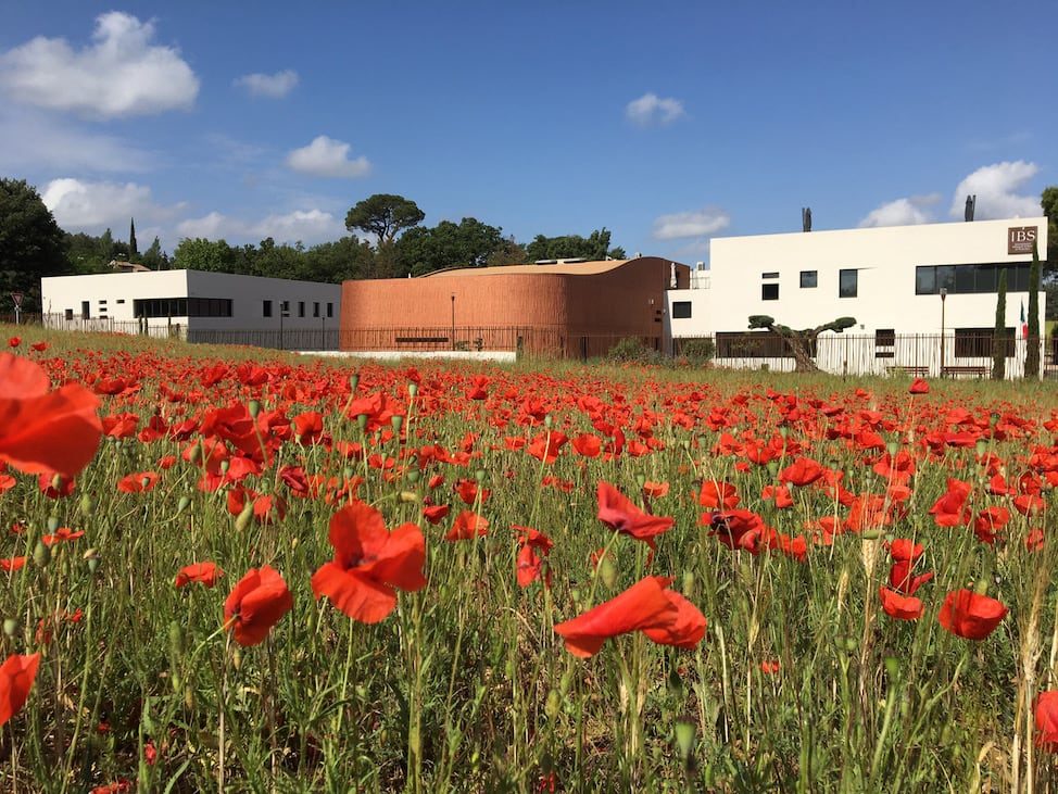 International Bilingual School of Provence