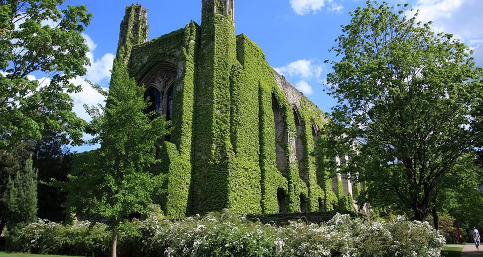 Northwestern University (Chicago)